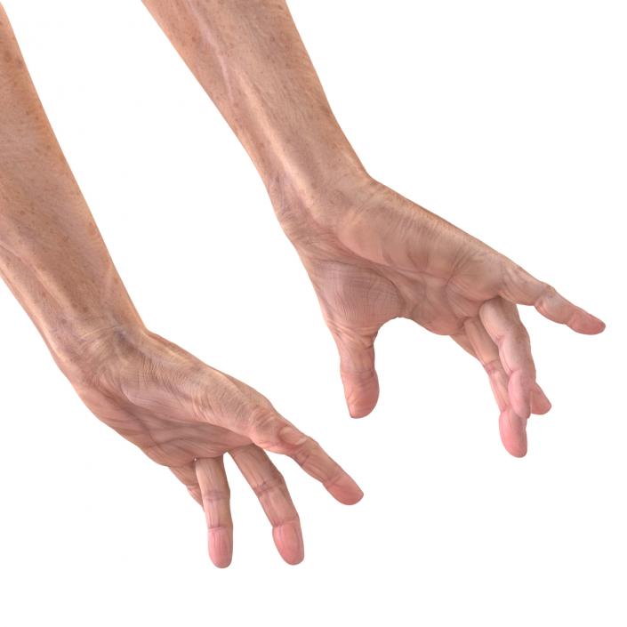 Old Man Hands 3 Pose 3 3D