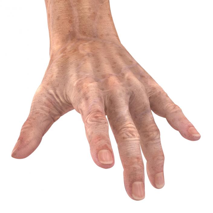 Old Man Hands 3 Pose 3 3D