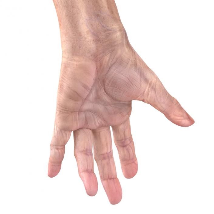 Old Man Hands 3 Pose 3 3D