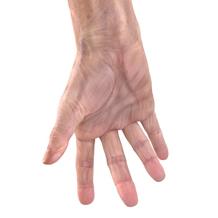 Old Man Hands 3 Pose 3 3D