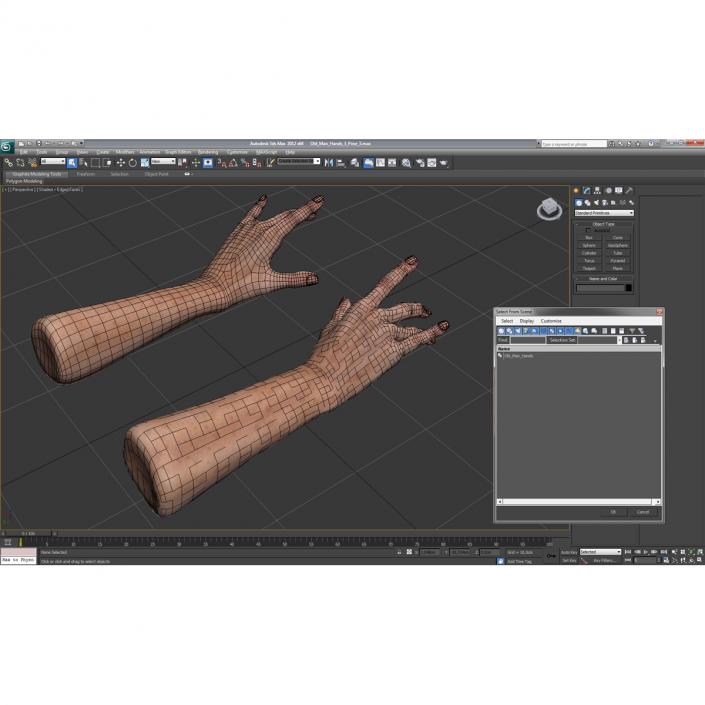 Old Man Hands 3 Pose 3 3D