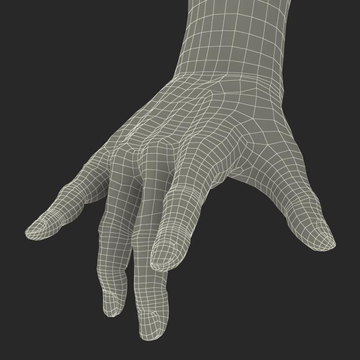 Old Man Hands 3 Pose 3 3D