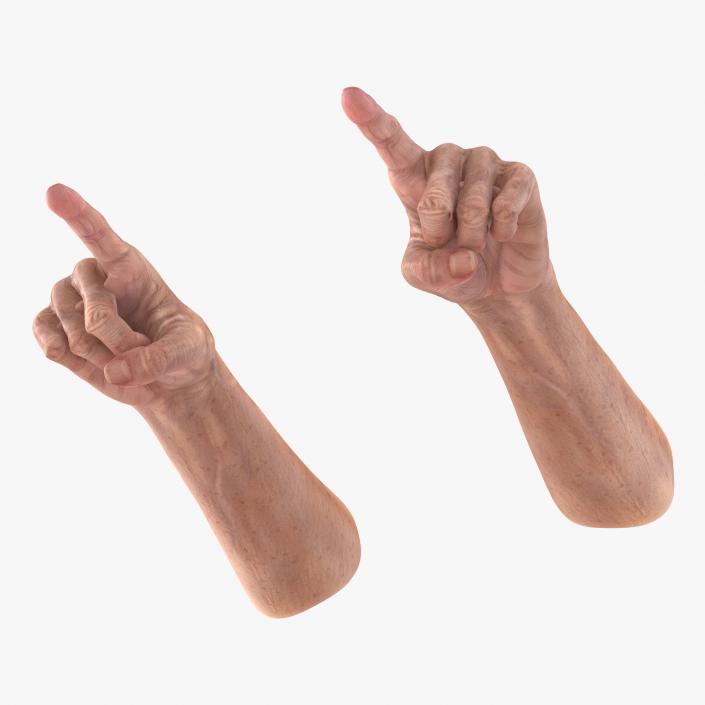 Old Man Hands 3 Pose 2 3D