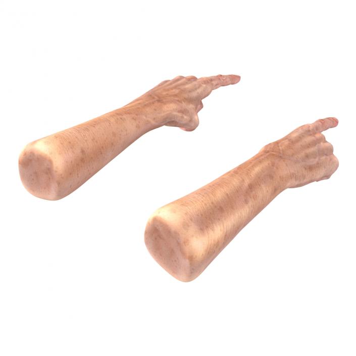 Old Man Hands 3 Pose 2 3D