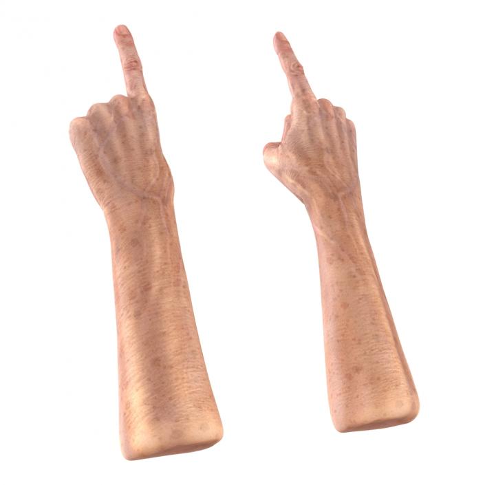 Old Man Hands 3 Pose 2 3D