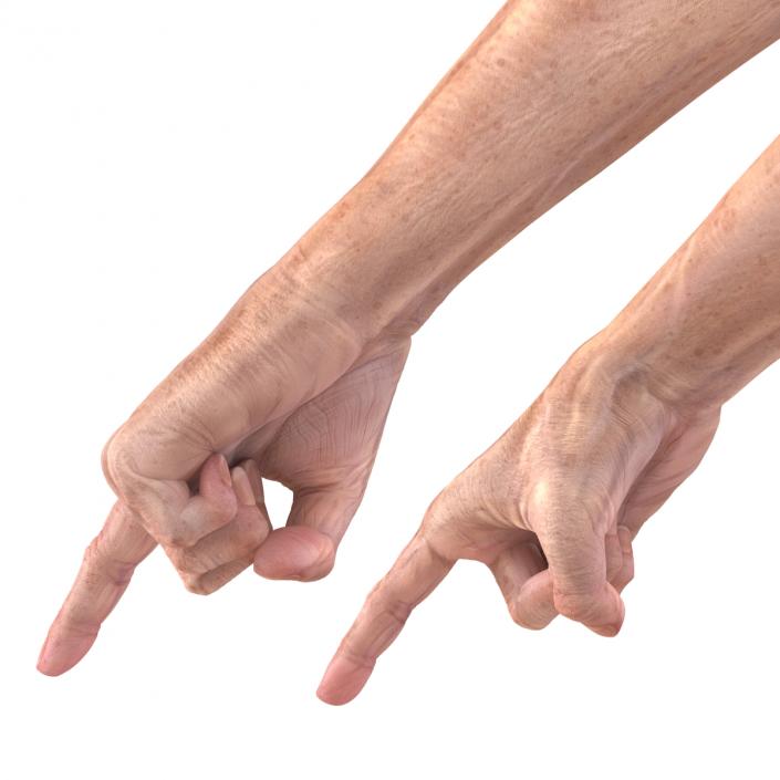 Old Man Hands 3 Pose 2 3D