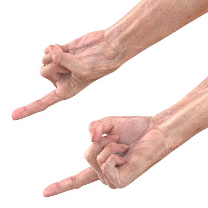 Old Man Hands 3 Pose 2 3D