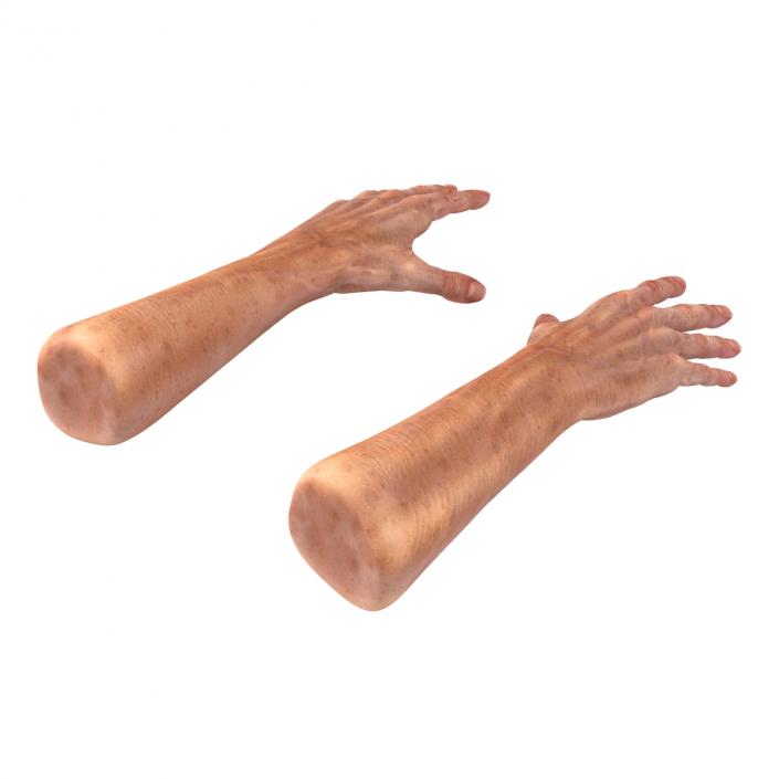 3D model Old Man Hands 2