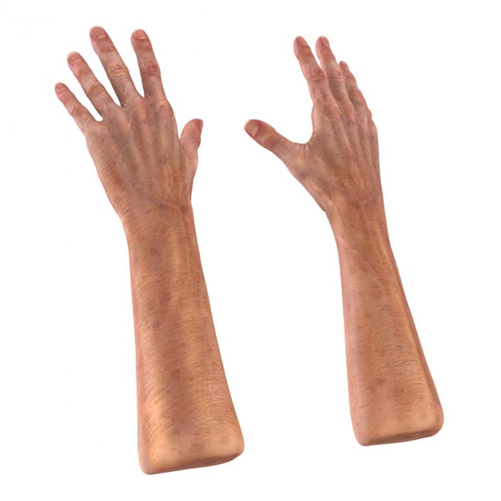 3D model Old Man Hands 2