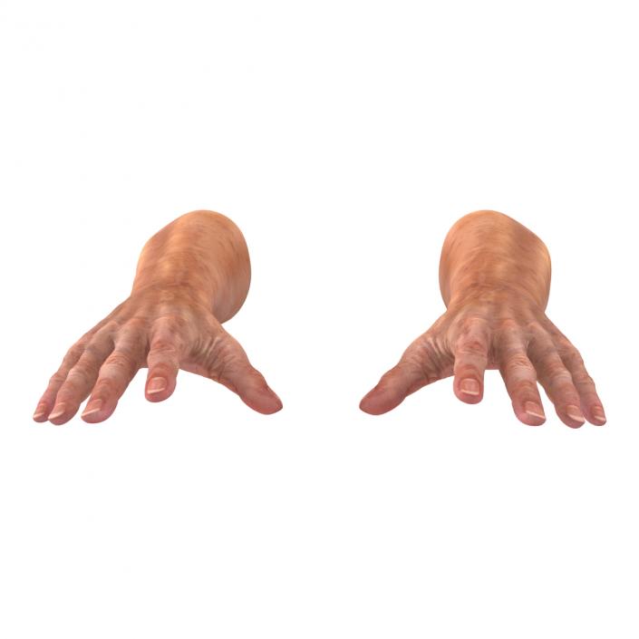 3D model Old Man Hands 2