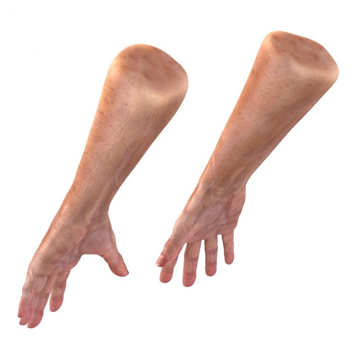 3D model Old Man Hands 2