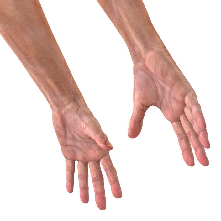 3D model Old Man Hands 2