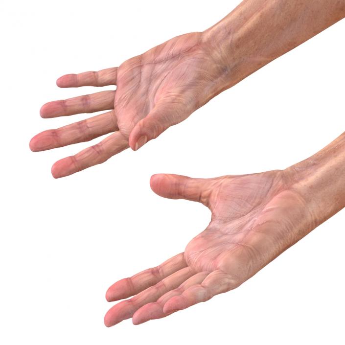 3D model Old Man Hands 2