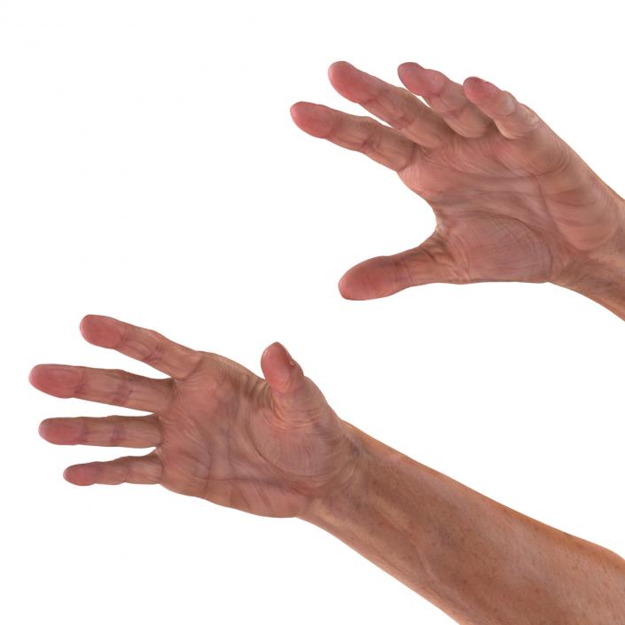 3D model Old Man Hands 2