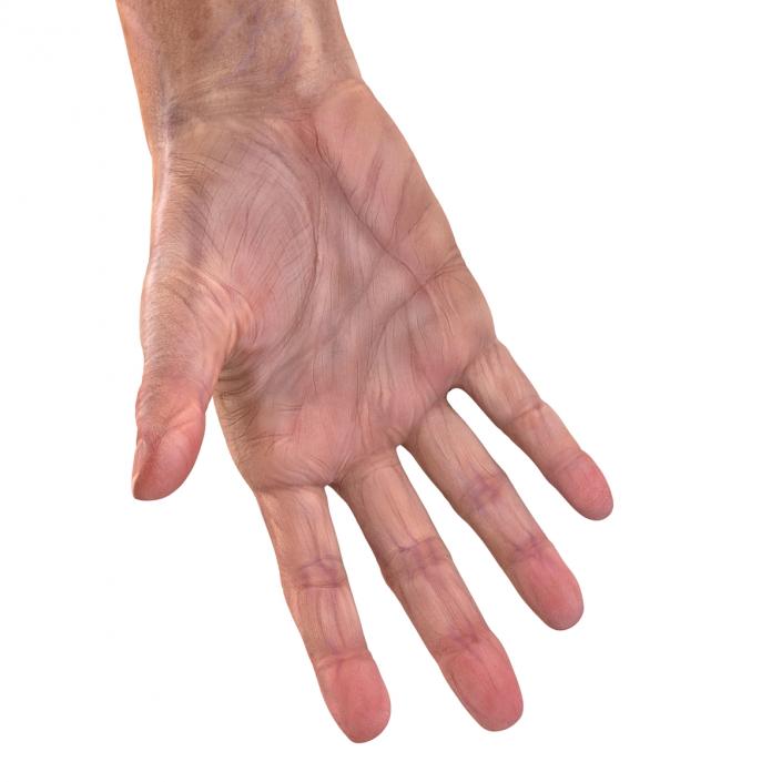 3D model Old Man Hands 2