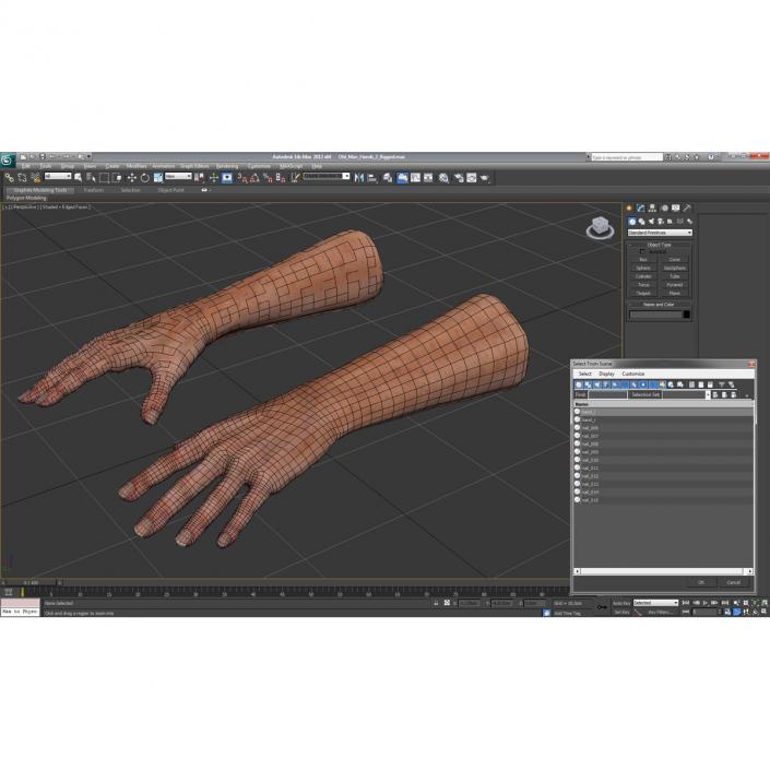 3D model Old Man Hands 2