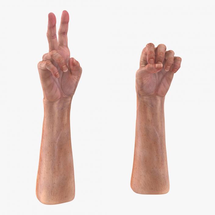 Old Man Hands 2 Rigged 3D