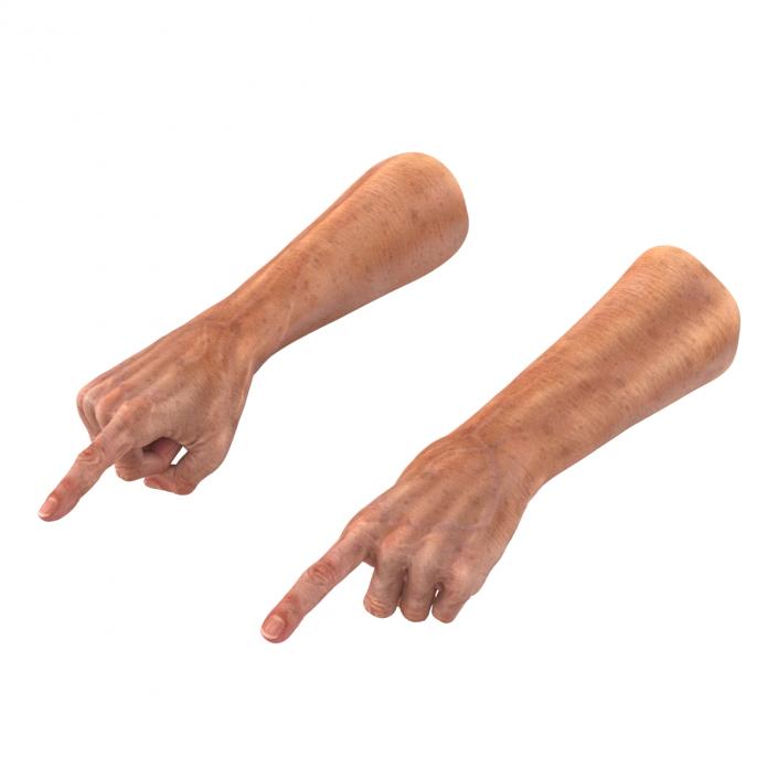 Old Man Hands 2 Rigged 3D