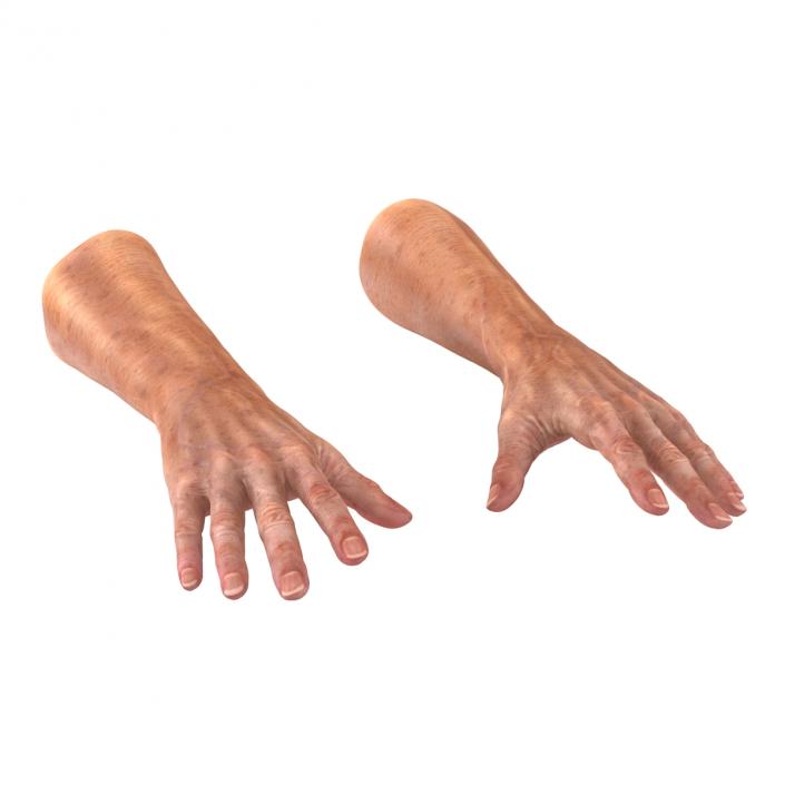 Old Man Hands 2 Rigged 3D