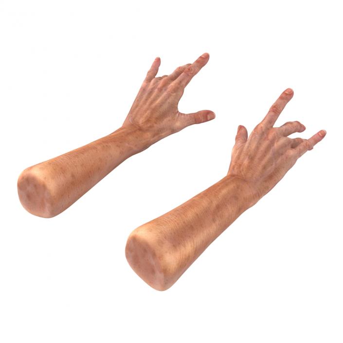 Old Man Hands 2 Rigged 3D