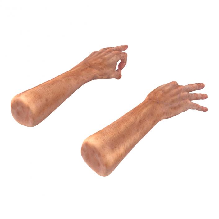 Old Man Hands 2 Rigged 3D