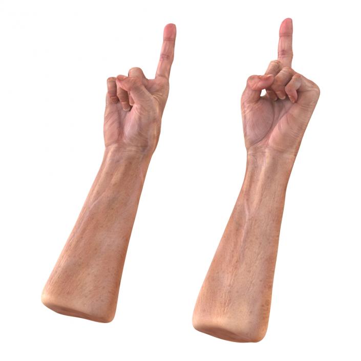 Old Man Hands 2 Rigged 3D