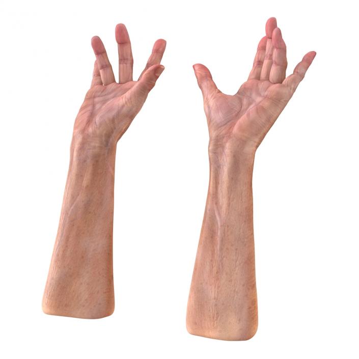 Old Man Hands 2 Rigged 3D