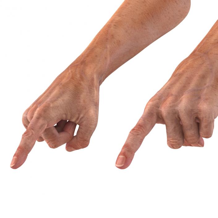 Old Man Hands 2 Rigged 3D