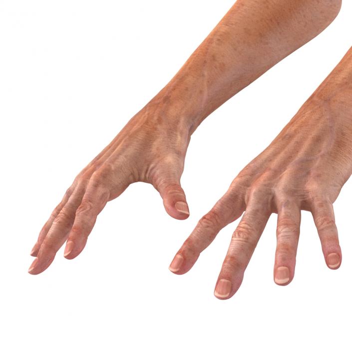 Old Man Hands 2 Rigged 3D