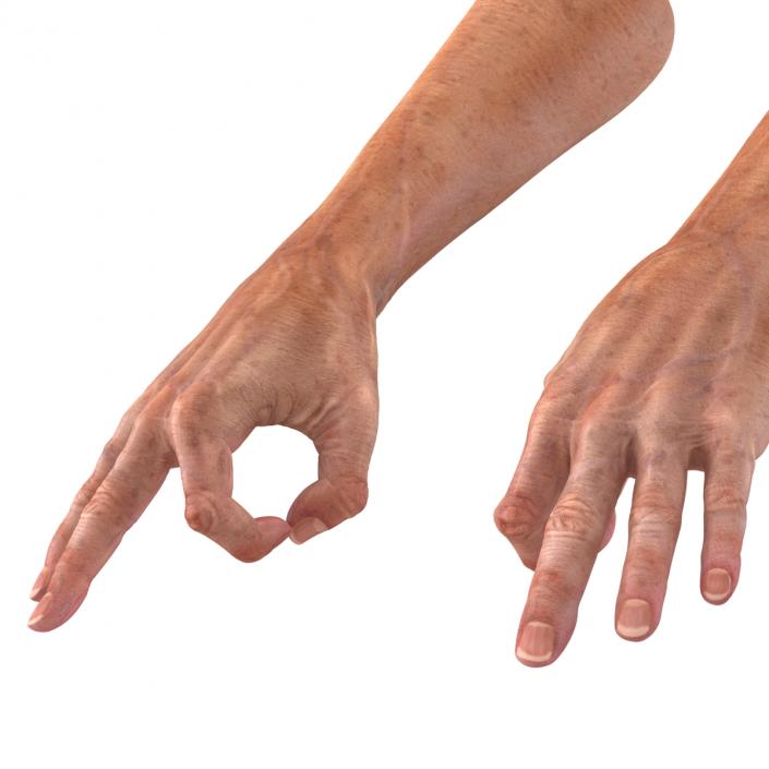 Old Man Hands 2 Rigged 3D