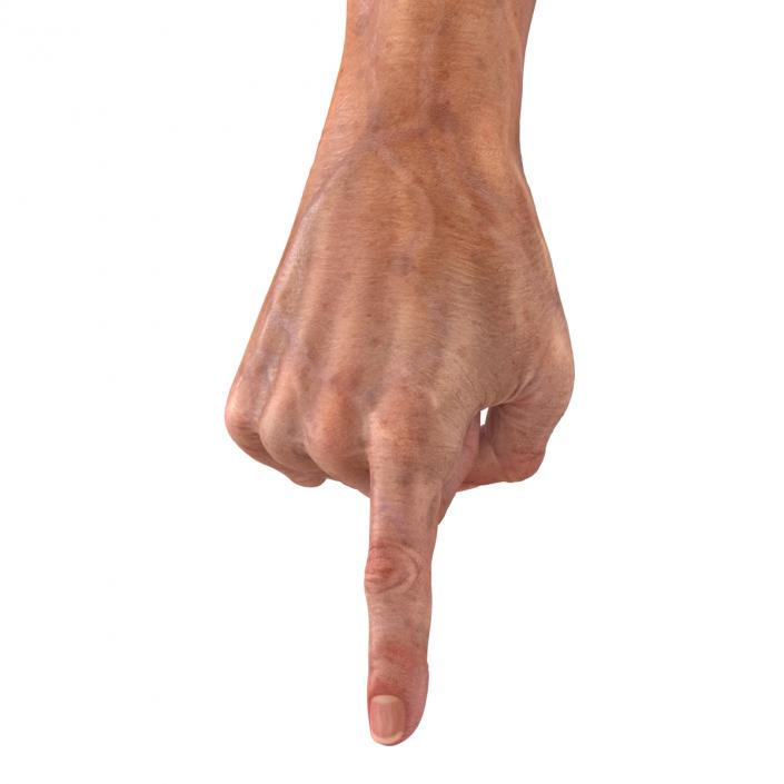 Old Man Hands 2 Rigged 3D