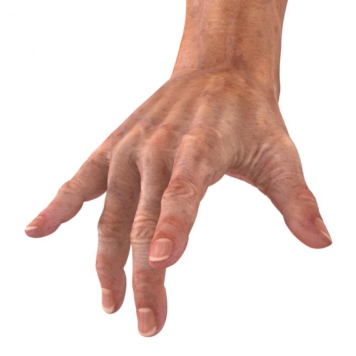 Old Man Hands 2 Rigged 3D