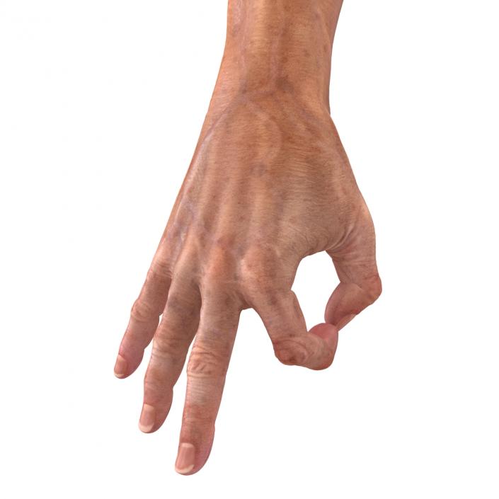 Old Man Hands 2 Rigged 3D