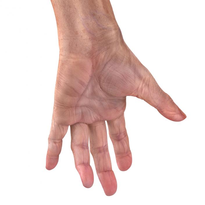 Old Man Hands 2 Rigged 3D