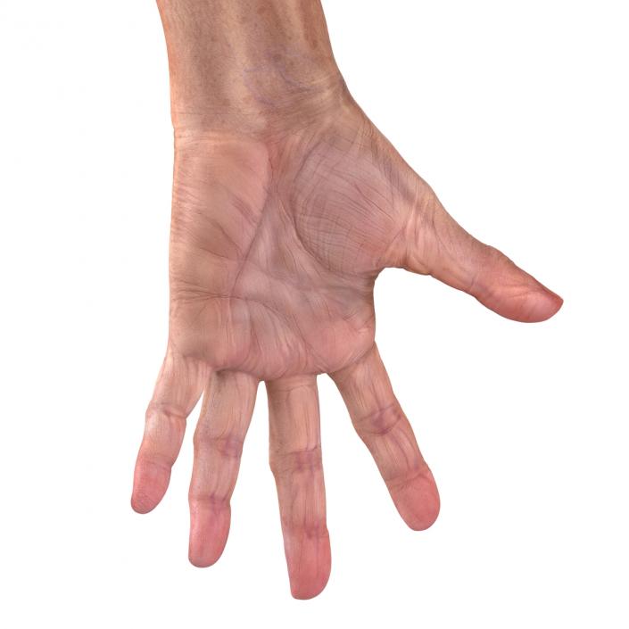 Old Man Hands 2 Rigged 3D