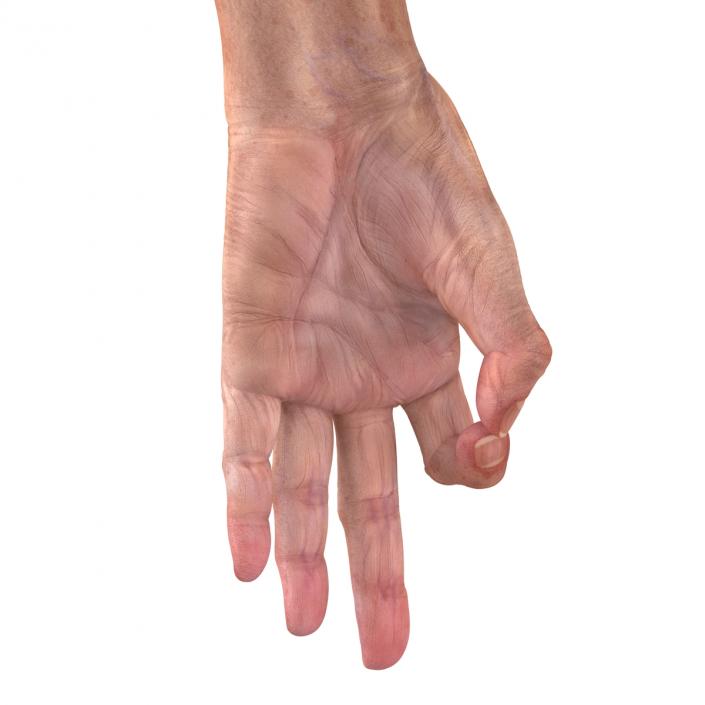 Old Man Hands 2 Rigged 3D