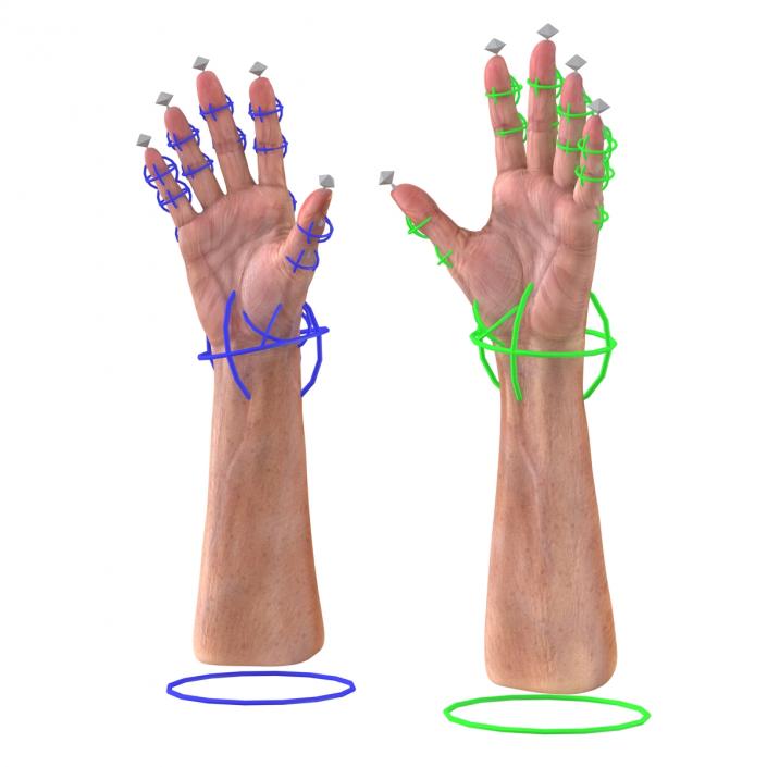 Old Man Hands 2 Rigged 3D