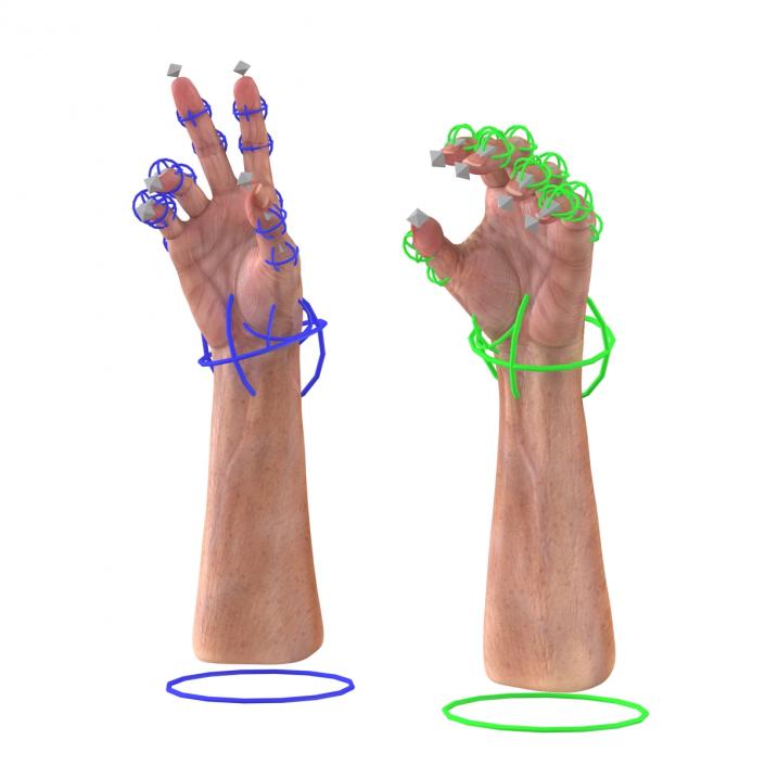 Old Man Hands 2 Rigged 3D