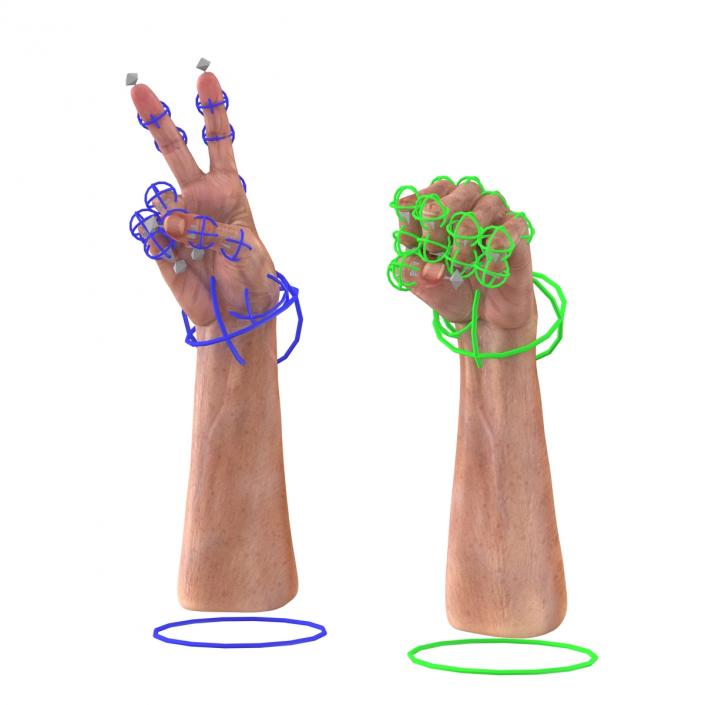 Old Man Hands 2 Rigged 3D