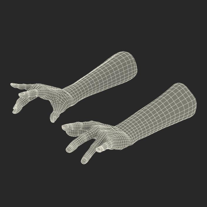 Old Man Hands 2 Rigged 3D