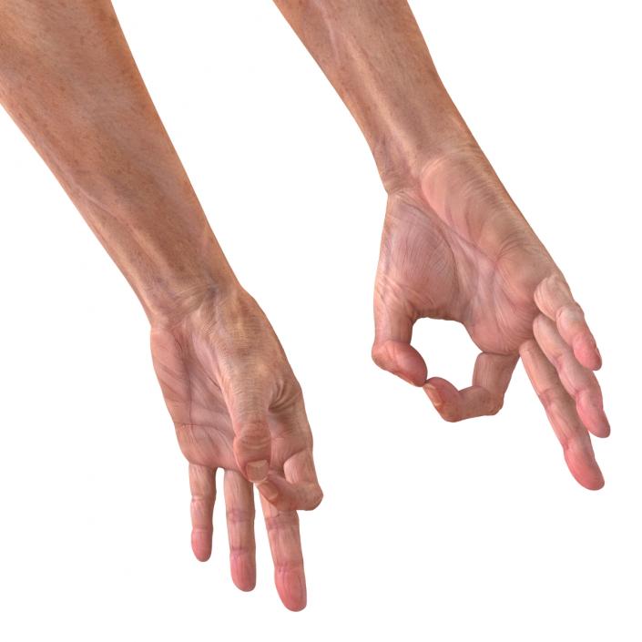 Old Man Hands 2 Pose 5 3D