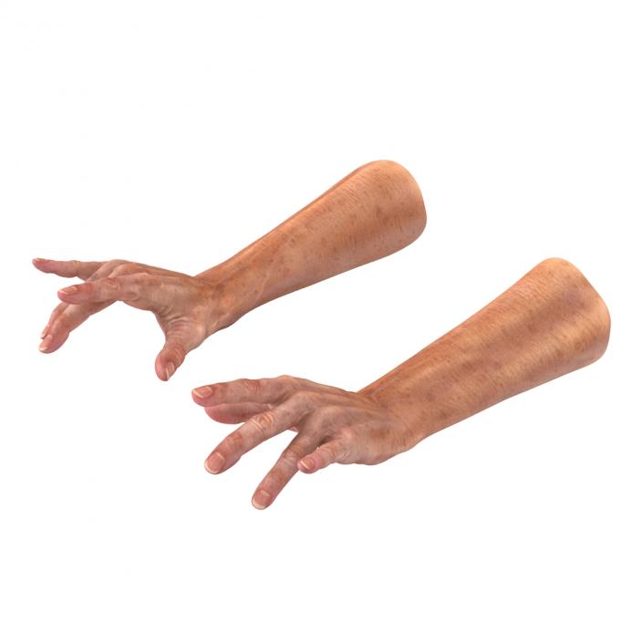 Old Man Hands 2 Pose 3 3D