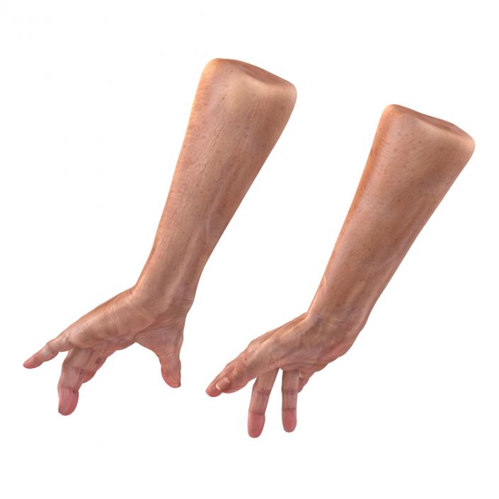 Old Man Hands 2 Pose 3 3D