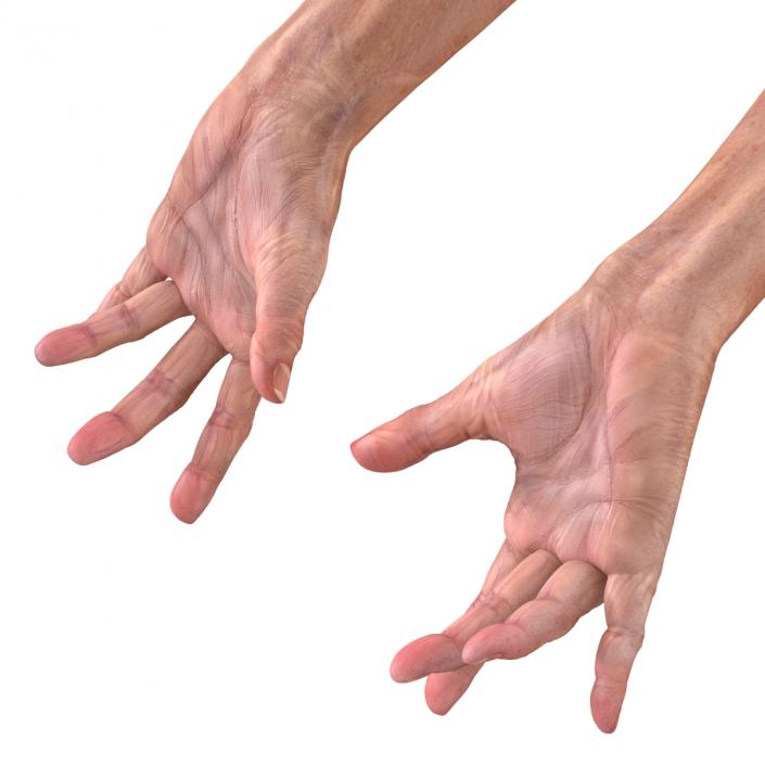 Old Man Hands 2 Pose 3 3D