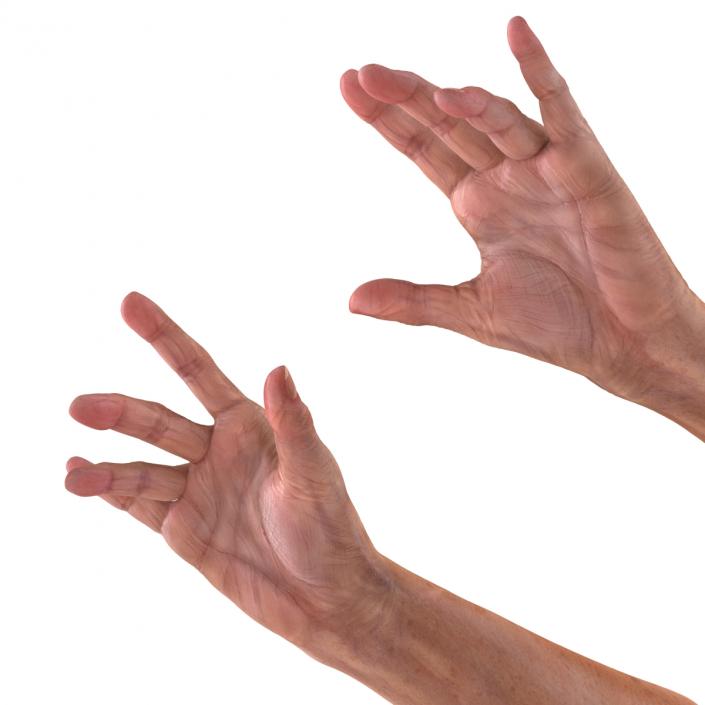 Old Man Hands 2 Pose 3 3D