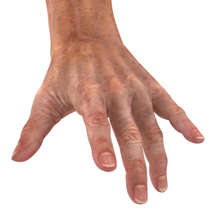 Old Man Hands 2 Pose 3 3D