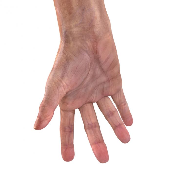 Old Man Hands 2 Pose 3 3D