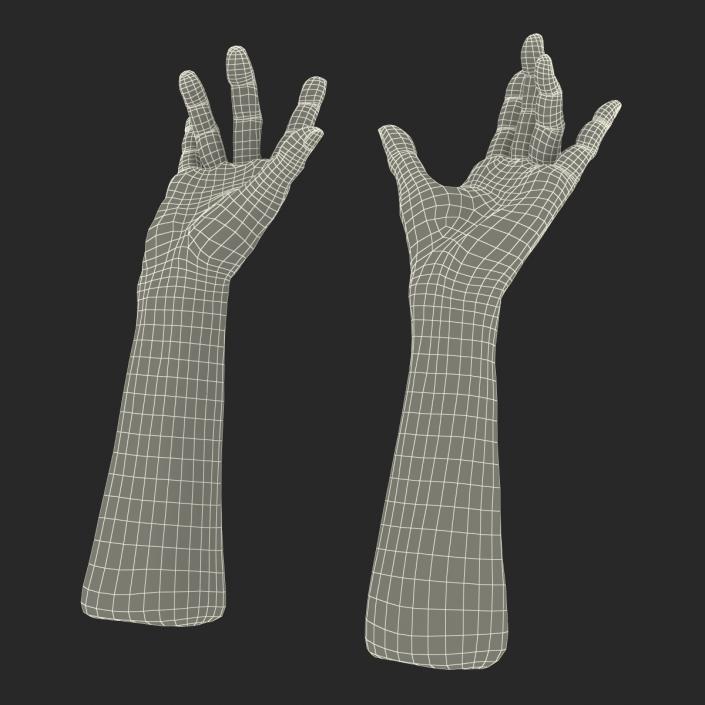 Old Man Hands 2 Pose 3 3D