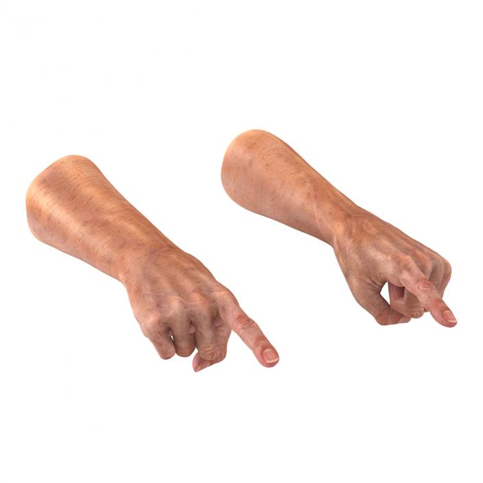 Old Man Hands 2 Pose 2 3D