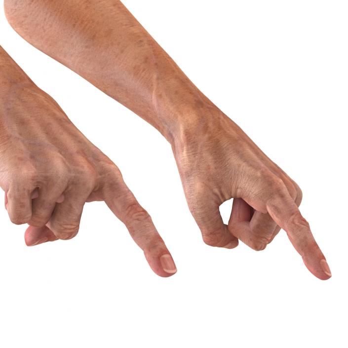 Old Man Hands 2 Pose 2 3D